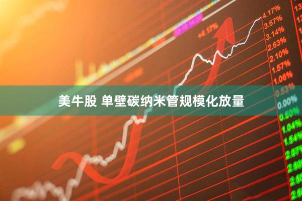 美牛股 单壁碳纳米管规模化放量