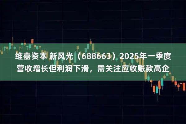 维嘉资本 新风光（688663）2025年一季度营收增长但利润下滑，需关注应收账款高企