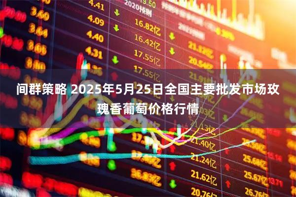 间群策略 2025年5月25日全国主要批发市场玫瑰香葡萄价格行情