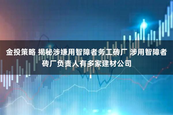 金投策略 揭秘涉嫌用智障者务工砖厂 涉用智障者砖厂负责人有多家建材公司