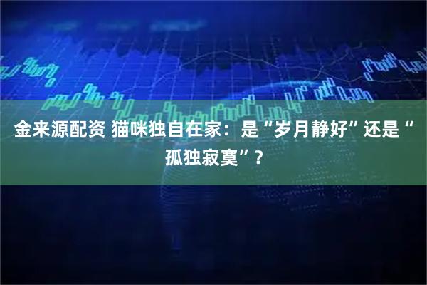 金来源配资 猫咪独自在家：是“岁月静好”还是“孤独寂寞”？