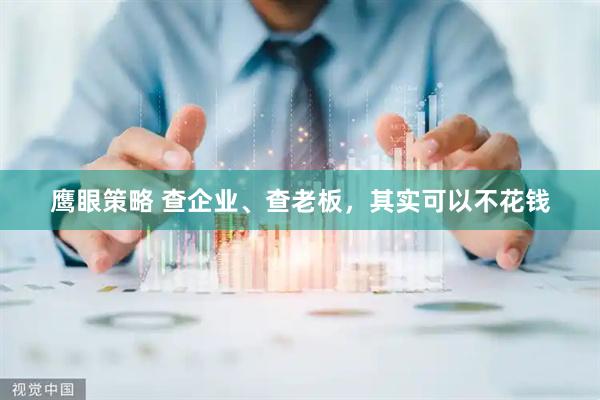 鹰眼策略 查企业、查老板，其实可以不花钱