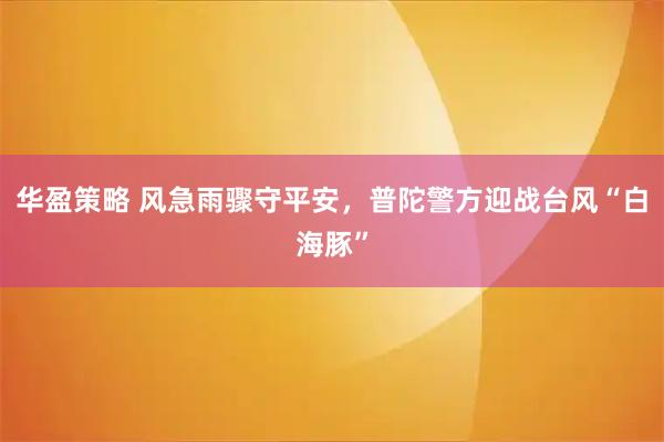华盈策略 风急雨骤守平安，普陀警方迎战台风“白海豚”
