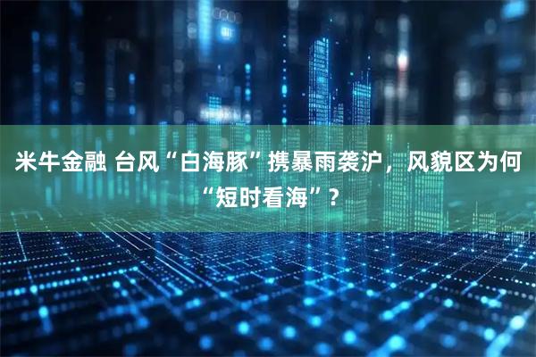 米牛金融 台风“白海豚”携暴雨袭沪，风貌区为何“短时看海”？