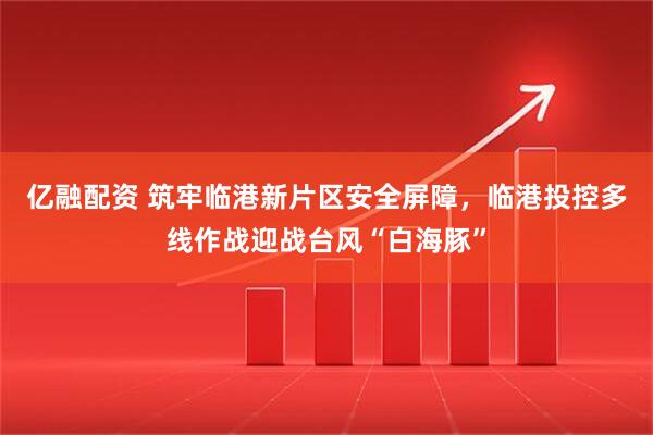 亿融配资 筑牢临港新片区安全屏障，临港投控多线作战迎战台风“白海豚”