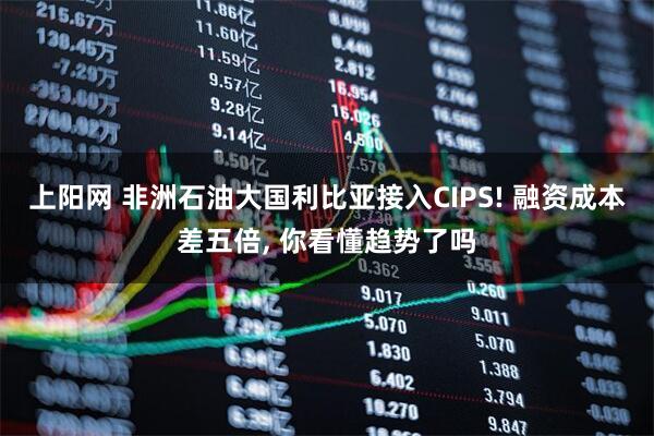 上阳网 非洲石油大国利比亚接入CIPS! 融资成本差五倍, 你看懂趋势了吗