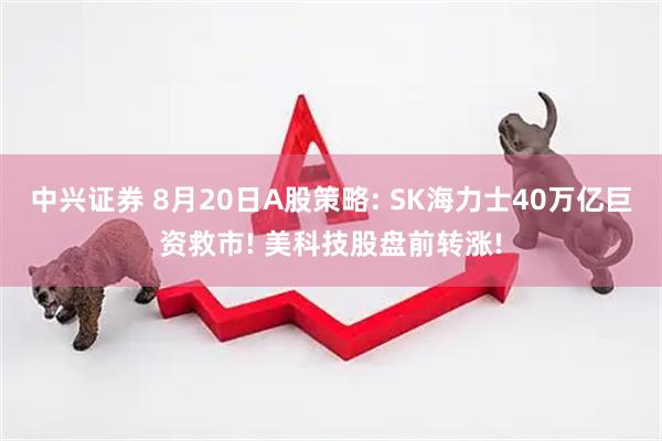 中兴证券 8月20日A股策略: SK海力士40万亿巨资救市! 美科技股盘前转涨!